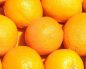 Рецепт домашнего вина из апельсинов