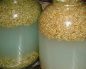 Рецепт пшеничной браги без дрожжей. Как поставить пшеничную брагу в домашних условиях