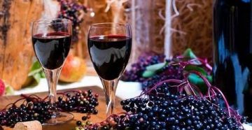 Рецепт вина из ягод и цветов бузины черной