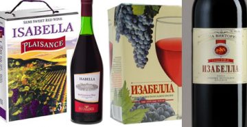 Как сделать вино из изабеллы в домашних условиях